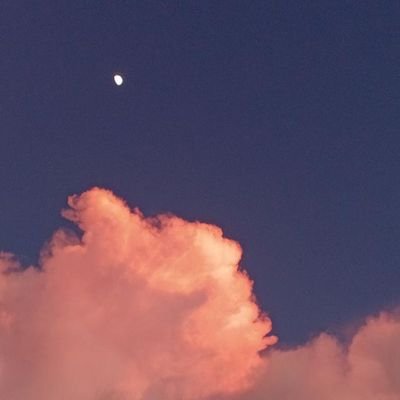 fiaaacloudsyy's profile picture. you don't know me.