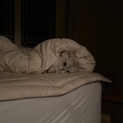 yonatabib's profile picture. والدي رحمه الله الرجل الذي دللني دون مقابل تحمل كل أسئلتي الطفولية والمضحكة ومنحني في بكائي كل ما أريد .. أبي رحمه الله بطلي الأبدي في حكايتي.