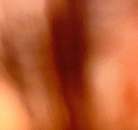 natusic's profile picture. 