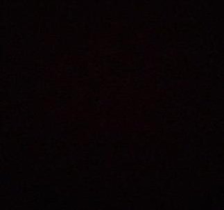 Plupi's profile picture. 