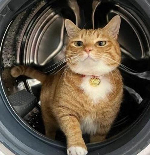 PrincessMindy1's profile picture. 