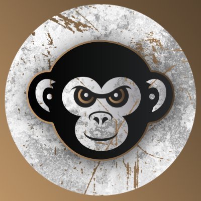 thebigfiz1's profile picture. valorant coach for @Esprit_Shonen
https://t.co/dJ70gPB5fS