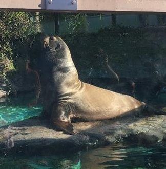 skaperkoden's profile picture. 