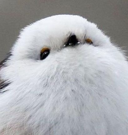 terryjb54's profile picture. 