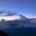 Leandra Otten - @otten_lean70837 - Twitter