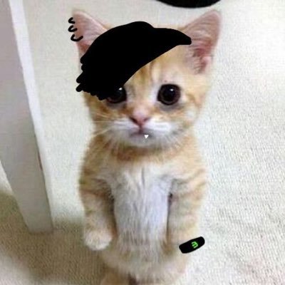 dailydose_ofjas's profile picture. 