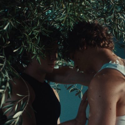 wilmonizer's profile picture. hollanov brainrotted and free • 19