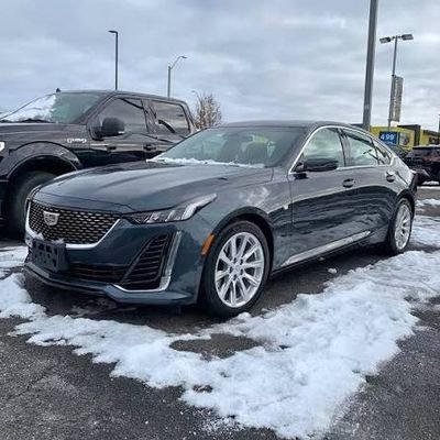 hsnelhakim_'s profile picture. 