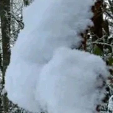 MasonBry_an's profile picture. 