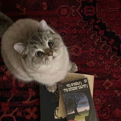 _waves0_'s profile picture. ﴿وَقُلْ رَبِّ زِدْنِي عِلْمًا﴾