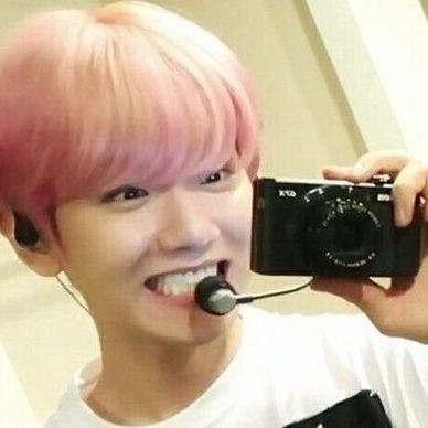 brocooliiii's profile picture. 🐈 Jornalista e Fotógrafa | ela/dela | multistan 🏳️‍🌈  #FreePalestine 🇵🇸