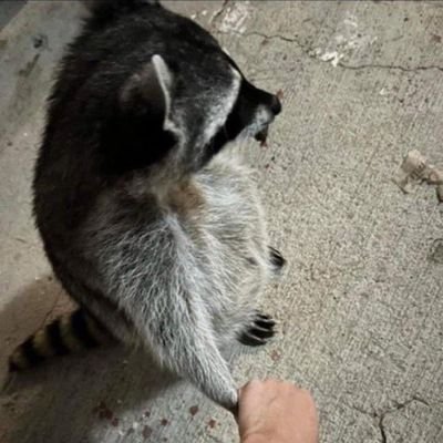 DanielLlan33410's profile picture. 