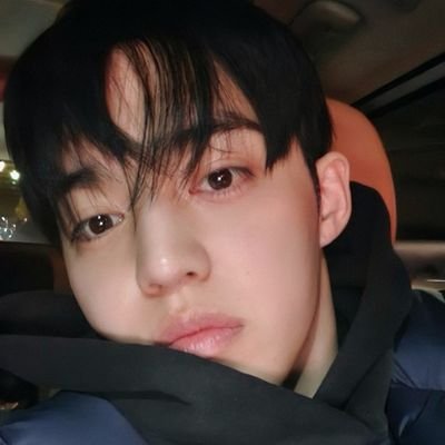 kyeomjjigae's profile picture. with love, seventeen.