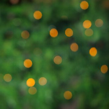 davidsboyfriend's profile picture. I AM NO LONGER ACTIV3 ON TW1TTER!