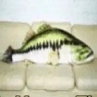 BenjaSopa's profile picture. sopa benja 🐟