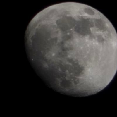 OrionGdl1's profile picture. Bisexual, zona sur de la ciudad de guadalajara