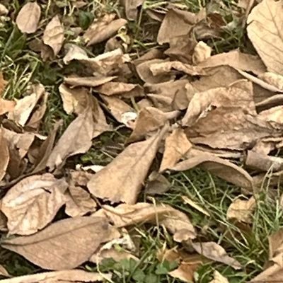 Journey2Joyfull's profile picture. it won’t let me deactivate