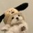 w00nak_days's profile image