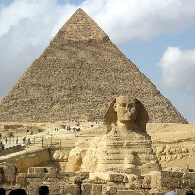 RedaNas41281317's profile picture. 