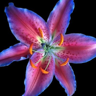 fernnsxx's profile picture. hablando solin