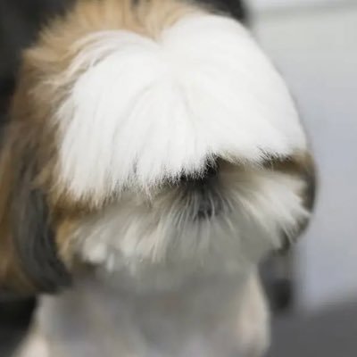 g0dthatsg00d's profile picture. 