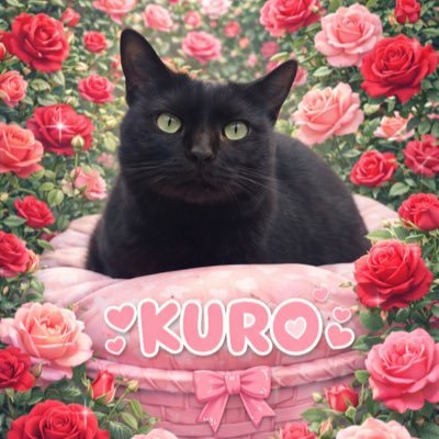 happyea2326's profile picture. 初心者です🔰将来の資産運用UP🆙目指してます🩷#FX自動売買#ゴールドEA