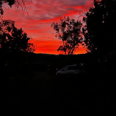 BenjaminD623433's profile picture. Patriot, father, grandfather, supporting our red team to oust the swamp fraudsters.