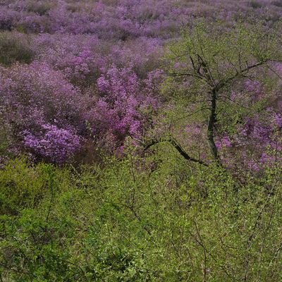 Namjaseong51771's profile picture. 