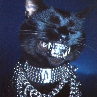 kaizerxbt's profile picture. web developer & art creator & trader | https://t.co/QdqCi60GWK | @FadedFNF @CookballFNF