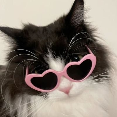 ssweethoneymoni's profile picture. demasiado básica para escribir algo en concreto, amante de los colores.