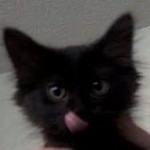 kkami_wb's profile picture. 