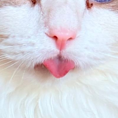 YMD_2010's profile picture. Designer