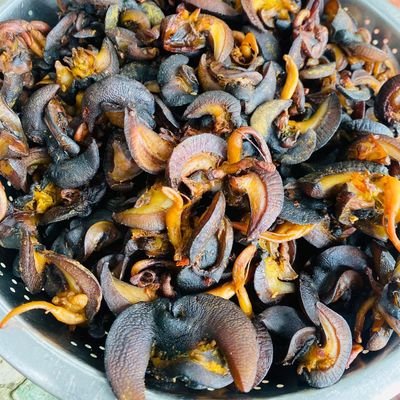 Snails/seafoods plug 🐌 🍤 🦀 🔌 🇨🇲