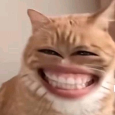 xandreanda's profile picture. 