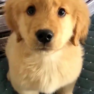 Yelena199001's profile picture. Hey. Nice to meet you. I'm a girl from Ukraine. If you also believe in fate, then this must be God's plan.（Passionate about mixed martial arts. Christian. Sing）