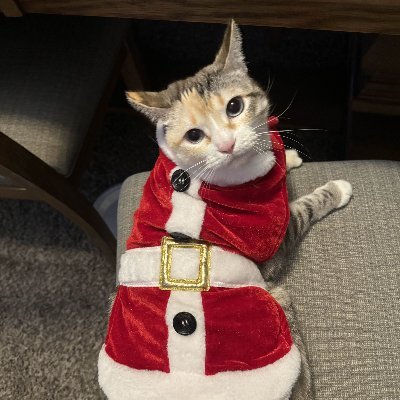 UhhSloth's profile picture. @REACHTHEFINALS PRO PLAYER FOR @PIONEERSGG