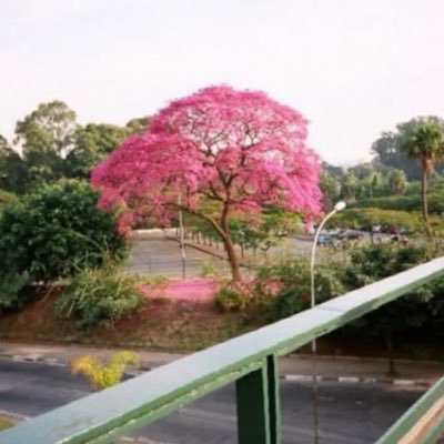 JuBou420's profile picture. 