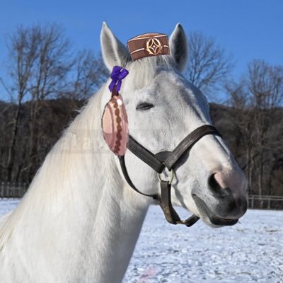 umaaruuwu's profile picture. lo que ves aquí es un reflejo de mi mente („• ֊ •„)੭ ✌🏻Enjoy Everything🍀