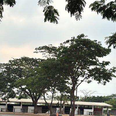 14Dspar's profile picture. 