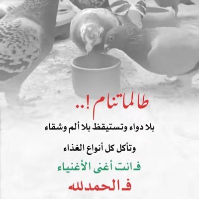 Falooh95's profile picture. 