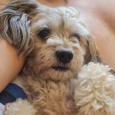 gushrqcosta's profile picture. amo minha namorada e to tentando formar em engenharia química