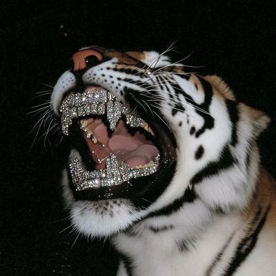 Goldish0's profile picture. Knowledge is power.