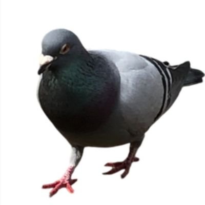 skmt010's profile picture. mlsb📺🦾固定│スト6Cザンギ　強めの自我@skmtmst0621　通販https://t.co/dXQbx4P1MO