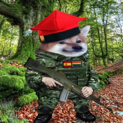 UkrDib72080's profile picture. Español. De Barcelona | 
Millenial del 86 | 
Atlantista #NAFO | 
Homoturbofacha 🏳️‍🌈 felizmente casado | 
"La monarquía es elemento vital de Europa"