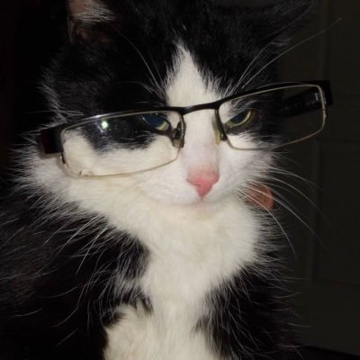 fleurographie's profile picture. 