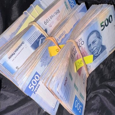 elivansillo01's profile picture. 