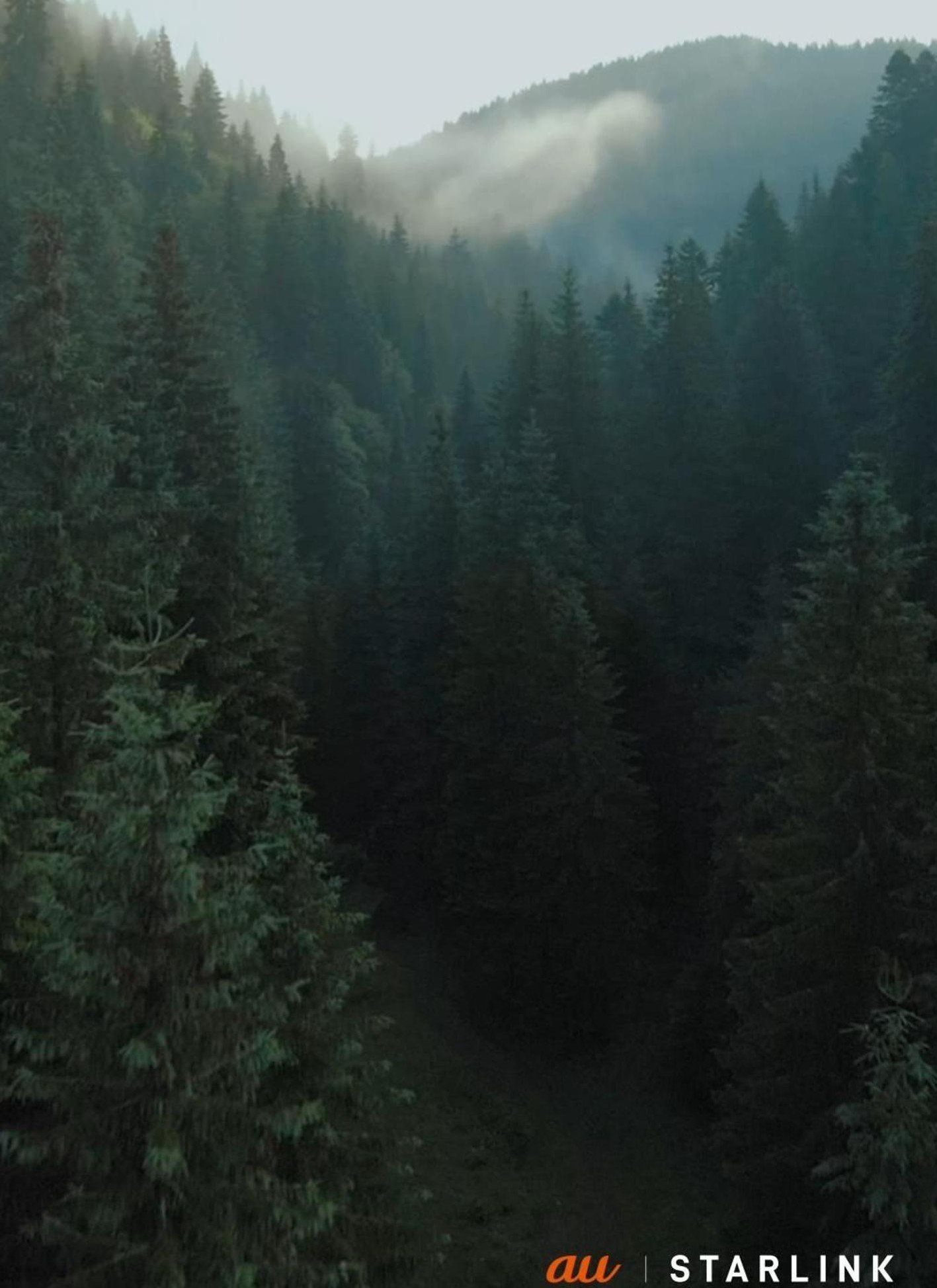 BFFL4Life123's profile picture. 