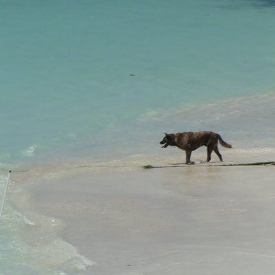 Hira_chi_Techi's profile picture. 