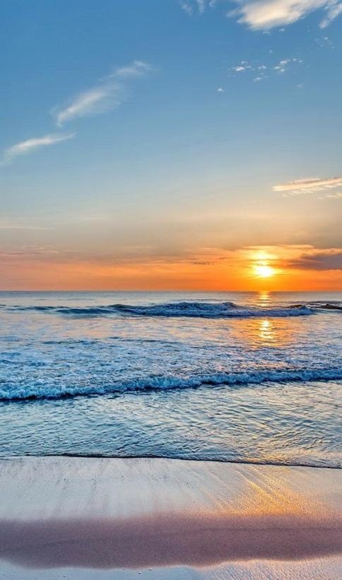 Daniellajoana's profile picture. 