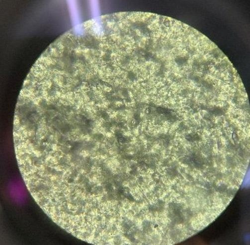 dhy19830709's profile picture. 